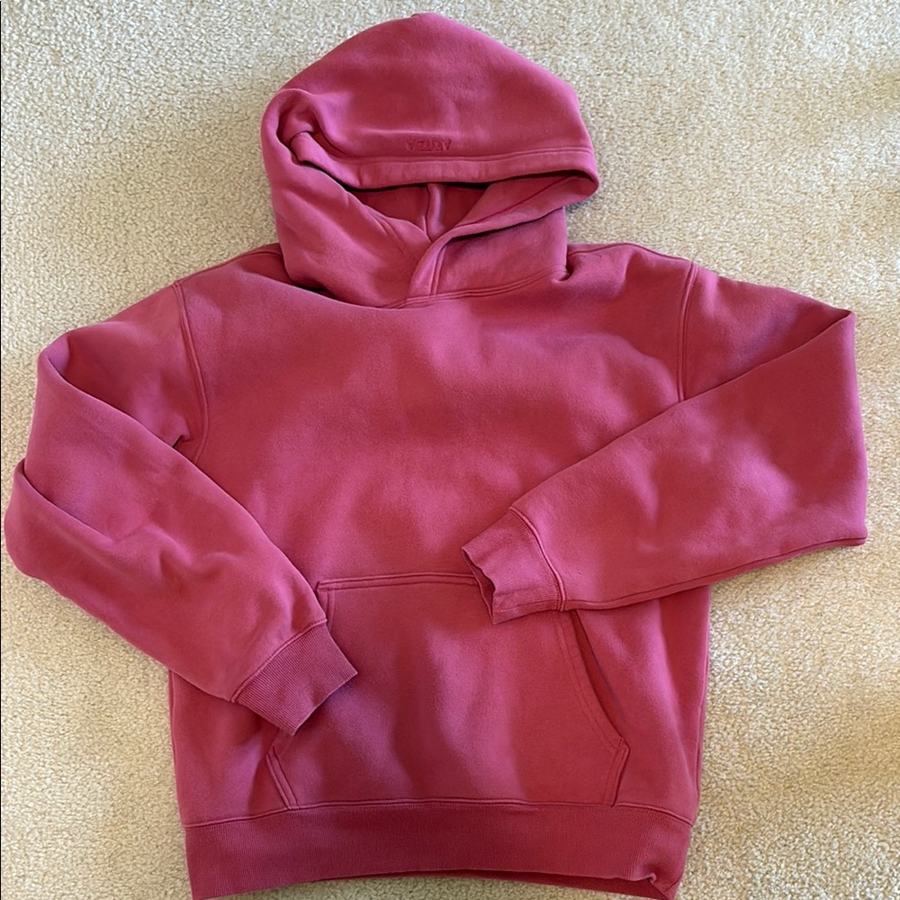 Aritzia Cozy Sweatfleece Perfect Hoodie